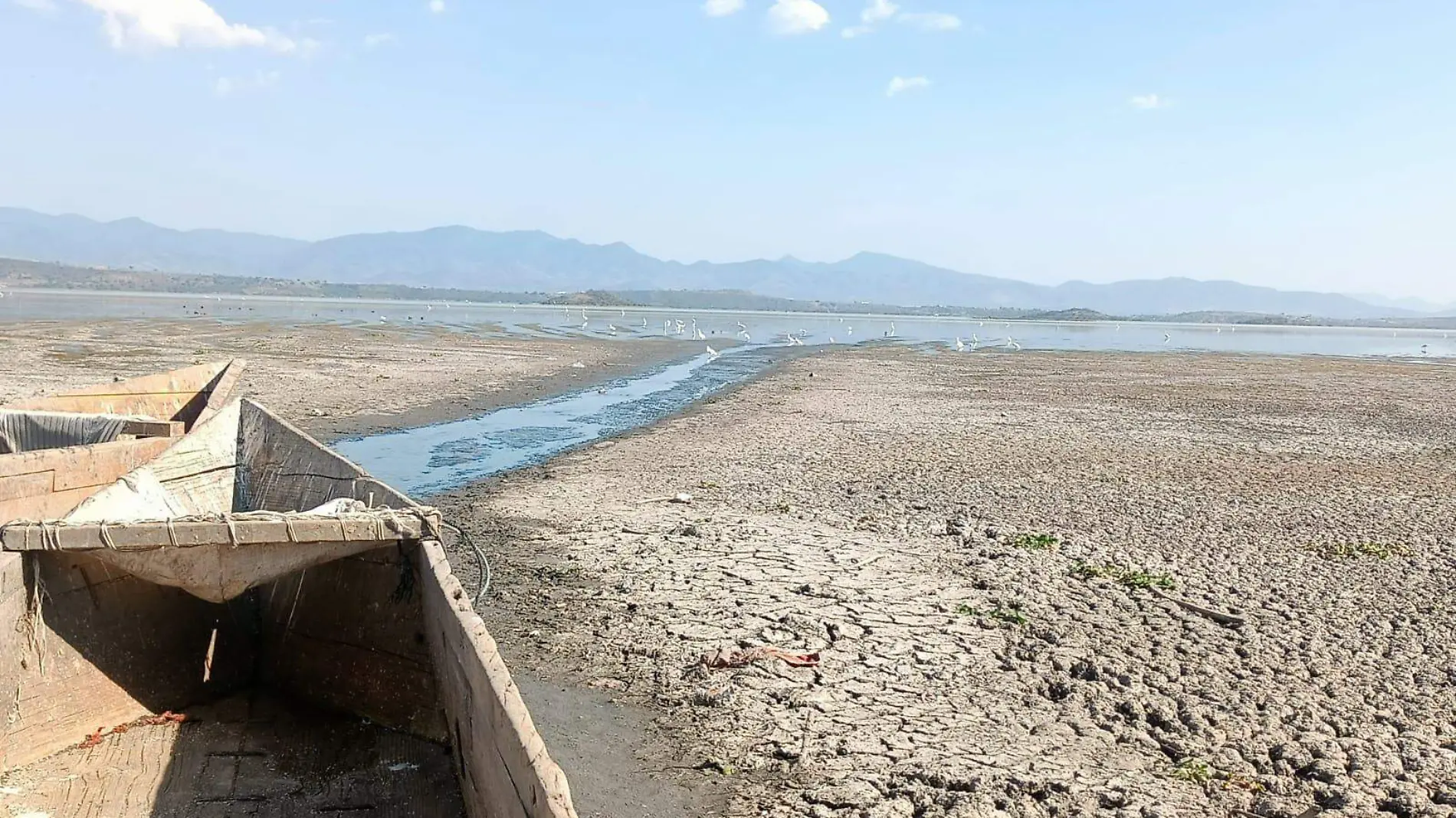 BAJO NIVEL DE AGUA EN EL LAGO DE CUITZEO PONE EN APRIETOS A PESCADORES. FOTO JORGE CARMONA  EL SOL DEL BAJÍO (6)